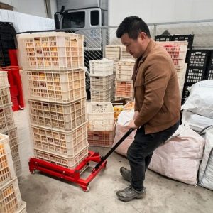 Xe nâng vận chuyển thùng nhựa 300kg có cấu tạo đơn giản, vận hành dễ dàng và an toàn